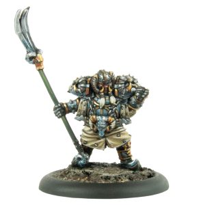 Manx Skull Champion